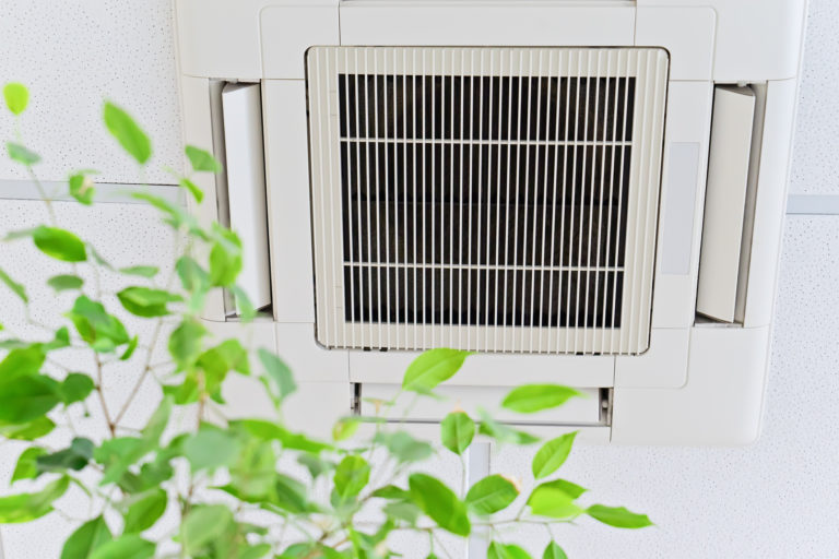 Indoor Air Quality In North Port, Venice, Port Charlotte, FL and Surrounding Areas